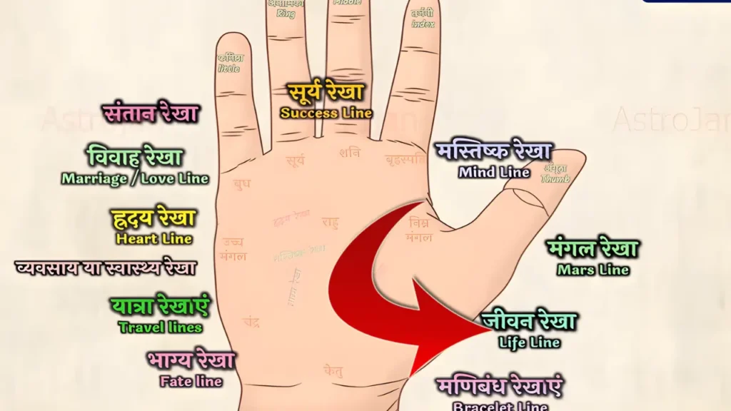  जीवन रेखा: Life Line